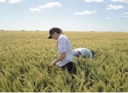 vartotojo kelta nuotrauka